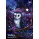 Оракул Магічної Землі - Enchanted Earth Oracle. Rockpool Publishing