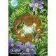 Оракул Магічної Землі - Enchanted Earth Oracle. Rockpool Publishing