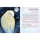 Оракул Магічної Землі - Enchanted Earth Oracle. Rockpool Publishing