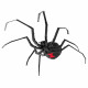 Металлическая сборная модель Black Widow Spider. Metal Earth (ME1038)