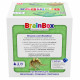 Настольная развивающая игра BrainBox Динозавры