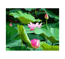 Фото Малювання номерів. Картина серії "Квіти" 40х50см, Озеро з лотосами, Ідейка (MG229)