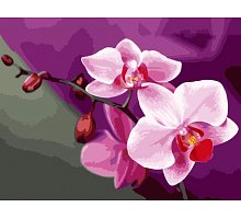 Фото Малювання номерів. Картина серії "Квіти" 40х50см, Рожеві орхідеї, Ідейка (MG1081)