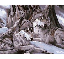Фото Малювання номерів. Картина серії "Тварини, птахи" 40х50см, Два вовки 2, Ідейка (MG1046)