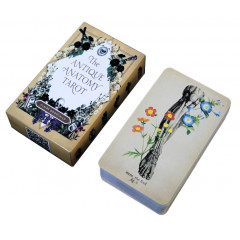 Таро Античної Анатомії - Antique Anatomy Tarot. China (9420067)