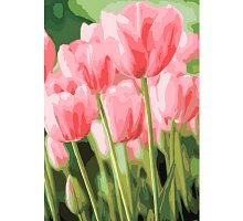 Фото Весняні тюльпани, Серія Букет, малювання за номерами, 40 х 50 см, Ідейка, КН2069